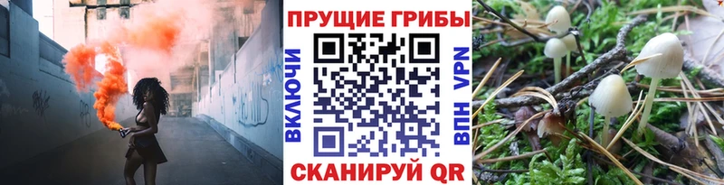 дарнет шоп  мега ТОР  Галлюциногенные грибы MAGIC MUSHROOMS  Калязин 